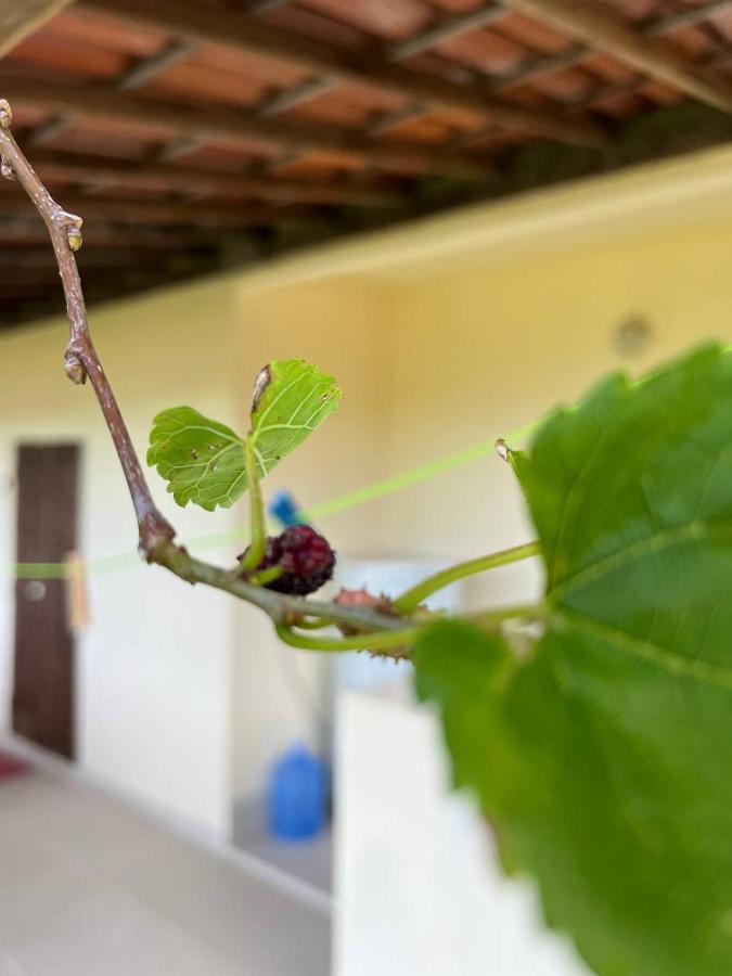 Bem Me Quer Casas Villa มอร์โฮเจอเซาเปาลู ภายนอก รูปภาพ